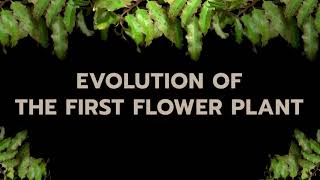 The Evolution of Flowering Plants