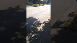 Маршрут 19 (Б-Т70110 #3385) #trolleybus #shorts