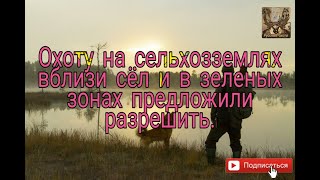 Охоту на сельхозземлях вблизи сёл и в зеленых зонах предложили разрешить.