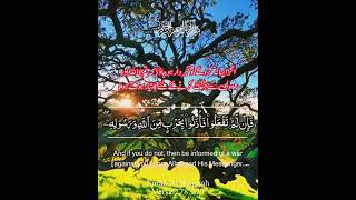 Surah Al-Baqarah Beautiful Quran Recitation Beautiful Tilawat E Quran #shorts #shots #deenalive