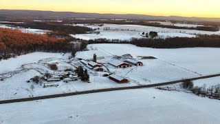 (Pineybrook Farms) Morning Chores