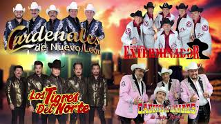 Los Tigres Del Norte, Exterminador, Cardenales De Nuevo León, Cadetes de Linares, Vagon Chicano