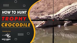 This is how to hunt crocodile