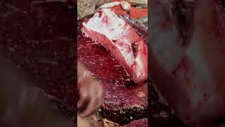 Amazing catla fish cutting | BD fish cutting | fast fish cutting #fish