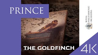 The Goldfinch (2019) I PRINCE - Purple Rain (Ft. Royal Philharmonic Orchestra) [4K] + LYRICS แปลไทย