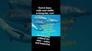 Komm dazu:wale-und-delfine-kongress. comEntdecke Deine DELFIN APP - aber wie? Karsten erklärt es.