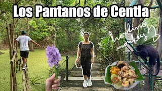 My favourite place in Mexico | Los Pantanos de Centla, Tabasco