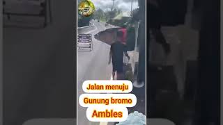 #Update| Short| Jalan menuju Gunung Bromo