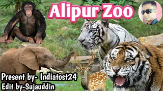 ZOO | Kolkata Alipur zoo | Alipur chiriakhana | আলিপুর চিড়িয়াখানা  Pets And Animals | Indian Zoo