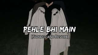 pehle bhi main  [ Slowed and Reverb ] - animal || Music Lover