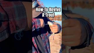 How to Revive a Trout #troutpond #stockedtrout #berkleyfishing #berkley #powerbait #troutbum #fish