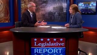 Legislative Report - Mental Illness Struggles