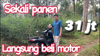 MOTOR N MAX hasil dari CABE KOPAY