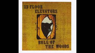 Street Song - 13th Floor Elevators