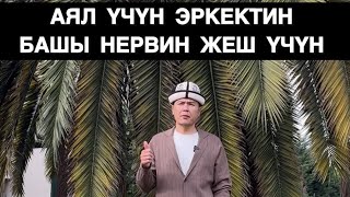 ЭРКЕКТИН БАШЫ НЕРВ ЖЕШ ҮЧҮН МУХАММАД БЕКМИН