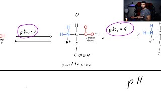 Isoelectric point of Amino Acids and Proteins +  Zwitterion+ Net charge +Table