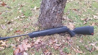 AIRGUN SLOWMOTION RUGER AIRHAWK ELETE 2