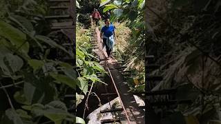 Easy lang #nature #travel #adventure #hikingadventure #hiking #waterfall #climbing #hangingbridge