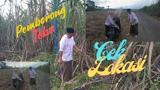 Pemborong Tebu||@cctvtrukindonesia8704 @Yopimandor@Hariojha