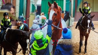 Катание на лошадях. Артур на коне. Супер эмоции