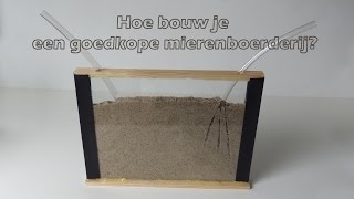 Hoe bouw je een goedkope mierenboerderij voor een mierenkolonie? / How to make a cheap ant farm?