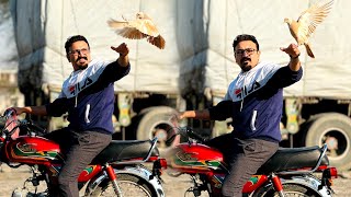 Pigeon training part 3|| How to hand tame pigeon with bike| outdoor pigeon training