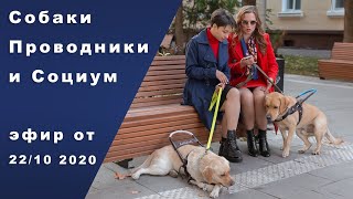 Собаки-проводники // Взаимодействие Владельцев Собак-Проводников с Cоциумом. Эфир от 22.10.20