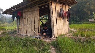 NYAMANNYA⁉️Suasana Sore Di saung sawah sambil masak mie di alam terbuka...