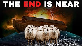 END TIMES WARNING! Strange Animal Circles And The Days of Noah!