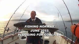 Light tackle fishing with plugs for Coalfish in Andorja Norway