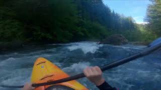 East Fork Lewis with Healthy Flow