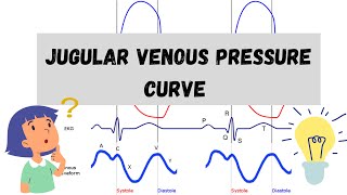 Jugular Venous Pressure Curve