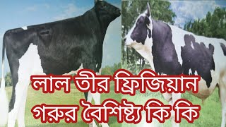 লাল তীর লাইভস্টক এর ফ্রিজিয়ান   জাতের সীমেন এর বৈশিষ্ট্যগুলো কি কি । cow Doctor by mithu Ahmed.