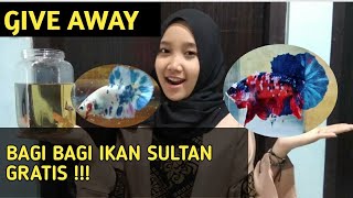 GIVE AWAY BAGI BAGI HADIAH GRATIS untuk subscriber