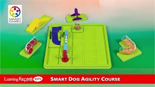 SEGSG451US   SMART DOG GAME