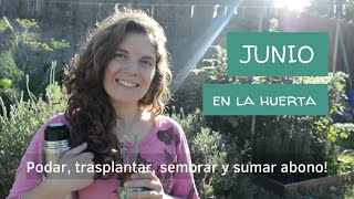 JUNIO en la HUERTA | Días de poda, suculentas, trasplante y cosecha | Y qué podemos sembrar este mes