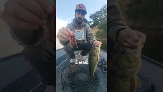 Santa Margarita Lake fall craw bite.