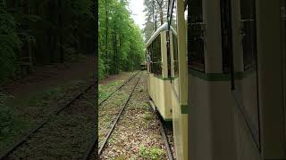 historische Straßenbahn Woltersdorf: KSW trifft Maximum im Wald