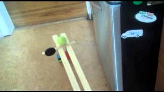 Rube Goldberg Machine That Feeds The Cat