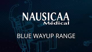 BLUE WAYUP RANGE