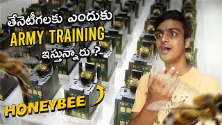 Bees Army Training 😮 | Top 6 Amazing & Interesting Facts | Telugu Facts