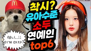 얼굴 크기가 성장하지 않은 소두 연예인 top6