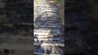 fix a muddy road by making a corduroy log road (in short form)