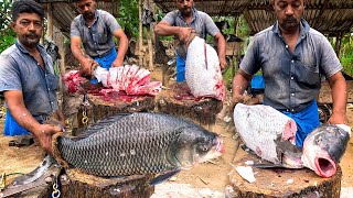 One Man Show! I Met The Super Fastest Catla Fish Cutting Extravaganza Mohammad Challenged in Seconds