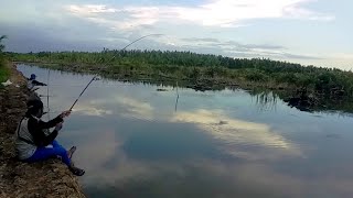 Mancing ikan di Tambak Lampung