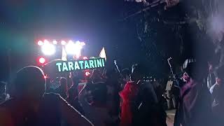 TARATARINI MUSICAL #bass #music