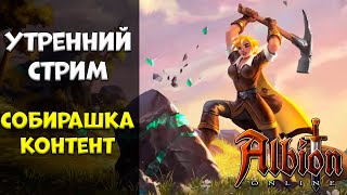 Собирашка контент! Утренний стрим! [albion online] Розыгрыш 7 дней премиума