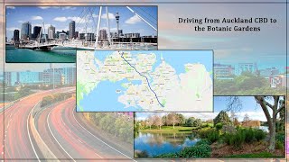 Driving from Auckland CBD to the Botanic Gardens via Southern Motorway 4K (New Zealand)