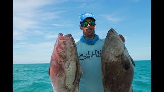 Grouper fishing Pesca de Meros