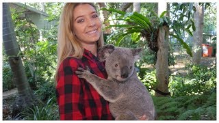 Lone Pine Koala Sanctuary and playing with Kangaroos